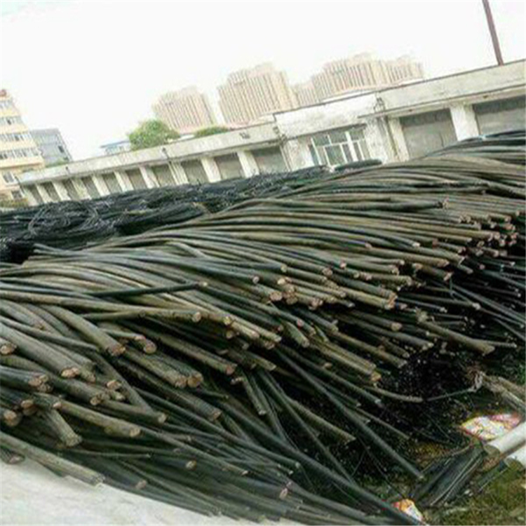 郴州电缆回收 郴州回收二手电缆